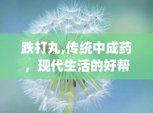 跌打丸,传统中成药，现代生活的好帮手