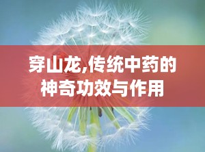 穿山龙,传统中药的神奇功效与作用