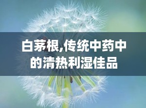 白茅根,传统中药中的清热利湿佳品