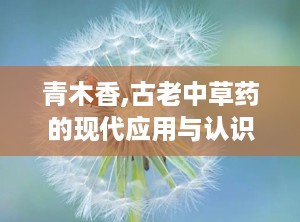 青木香,古老中草药的现代应用与认识