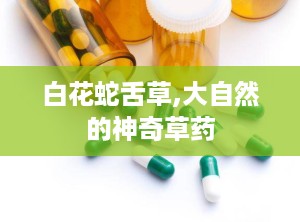 白花蛇舌草,大自然的神奇草药