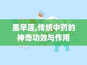 墨早莲,传统中药的神奇功效与作用