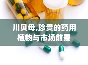 川贝母,珍贵的药用植物与市场前景