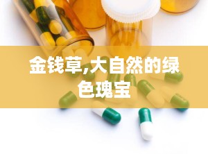 金钱草,大自然的绿色瑰宝