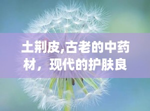 土荆皮,古老的中药材，现代的护肤良方