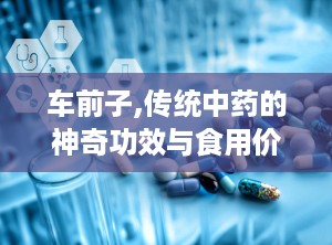 车前子,传统中药的神奇功效与食用价值