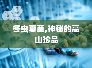 冬虫夏草,神秘的高山珍品