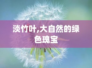 淡竹叶,大自然的绿色瑰宝