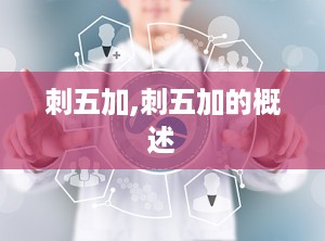 刺五加,刺五加的概述