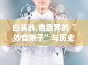 白头翁,自然界的“妙音娘子”与历史文化中的象征