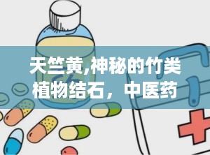 天竺黄,神秘的竹类植物结石，中医药宝库中的瑰宝