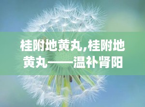 桂附地黄丸,桂附地黄丸——温补肾阳，改善生活品质