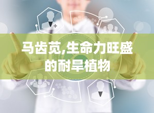 马齿苋,生命力旺盛的耐旱植物