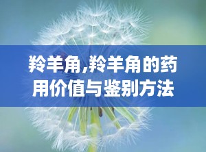 羚羊角,羚羊角的药用价值与鉴别方法