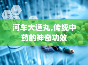 河车大造丸,传统中药的神奇功效