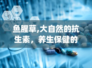 鱼腥草,大自然的抗生素，养生保健的佳品
