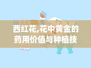 西红花,花中黄金的药用价值与种植技巧