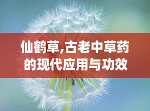 仙鹤草,古老中草药的现代应用与功效