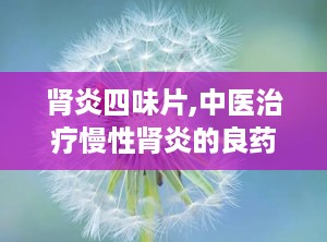 肾炎四味片,中医治疗慢性肾炎的良药