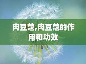 肉豆蔻,肉豆蔻的作用和功效