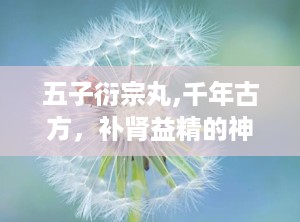 五子衍宗丸,千年古方，补肾益精的神奇疗效