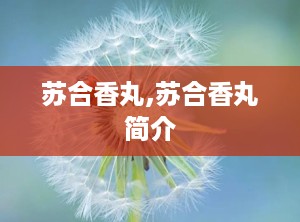 苏合香丸,苏合香丸简介