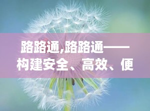 路路通,路路通——构建安全、高效、便捷的交通网络