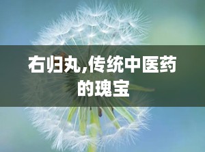 右归丸,传统中医药的瑰宝