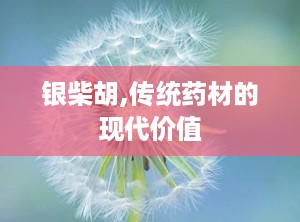 银柴胡,传统药材的现代价值