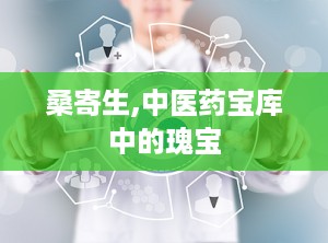 桑寄生,中医药宝库中的瑰宝