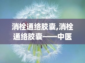 消栓通络胶囊,消栓通络胶囊——中医与现代医学结合的典范