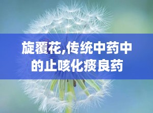 旋覆花,传统中药中的止咳化痰良药
