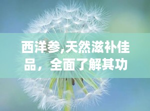 西洋参,天然滋补佳品，全面了解其功效与食用方法