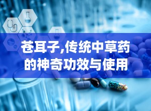苍耳子,传统中草药的神奇功效与使用指南