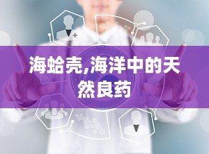 海蛤壳,海洋中的天然良药