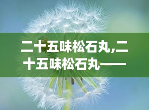 二十五味松石丸,二十五味松石丸——传统藏药中的现代瑰宝