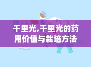 千里光,千里光的药用价值与栽培方法