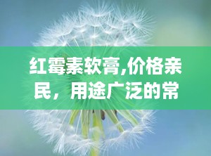 红霉素软膏,价格亲民，用途广泛的常备药膏