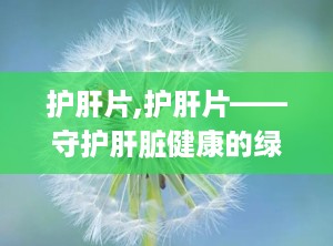 护肝片,护肝片——守护肝脏健康的绿色守护神