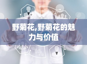 野菊花,野菊花的魅力与价值