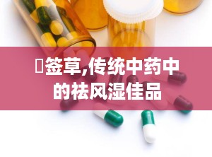 豨签草,传统中药中的祛风湿佳品