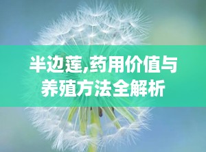 半边莲,药用价值与养殖方法全解析