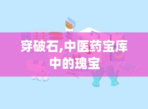穿破石,中医药宝库中的瑰宝