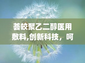 荟皎聚乙二醇医用敷料,创新科技，呵护您的健康