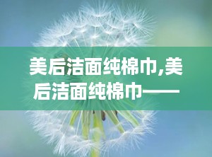 美后洁面纯棉巾,美后洁面纯棉巾——肌肤护理的贴心伴侣