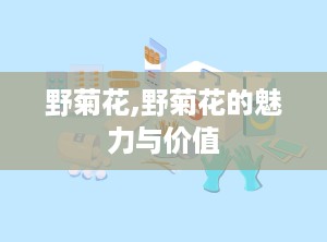 野菊花,野菊花的魅力与价值