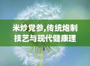米炒党参,传统炮制技艺与现代健康理念的完美结合