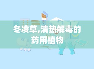 冬凌草,清热解毒的药用植物