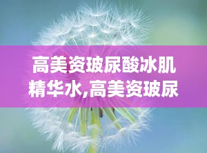 高美资玻尿酸冰肌精华水,高美资玻尿酸冰肌精华水——肌肤水润的秘密武器
