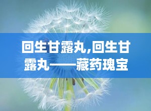 回生甘露丸,回生甘露丸——藏药瑰宝，守护您的呼吸健康
